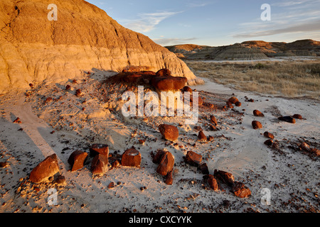 Badlands, Dinosaur Provincial Park, UNESCO World Heritage Site, Alberta, Kanada, Nordamerika Stockfoto