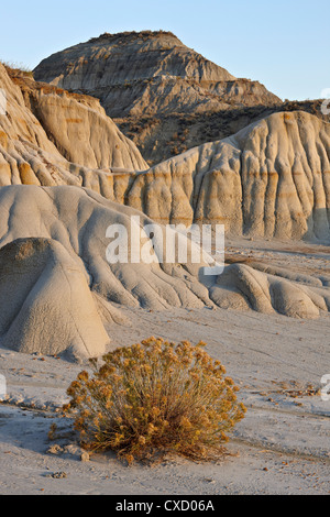 Badlands, Theodore-Roosevelt-Nationalpark, North Dakota, Vereinigte Staaten von Amerika, Nordamerika Stockfoto