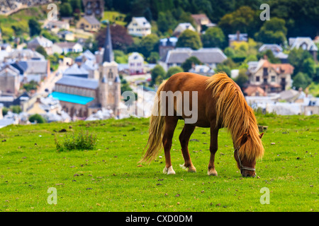 Klippen in der Nähe von Etretat und Fecamp, Normandie, Frankreich Stockfoto