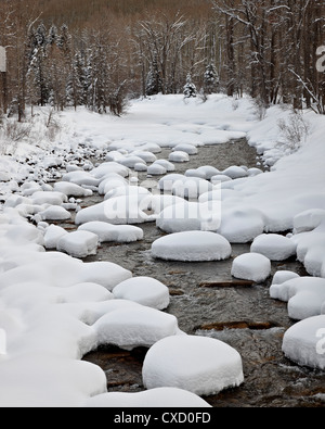 Schnee-Kissen auf die Dolores River, San Juan National Forest, Colorado, Vereinigte Staaten von Amerika, Nordamerika Stockfoto