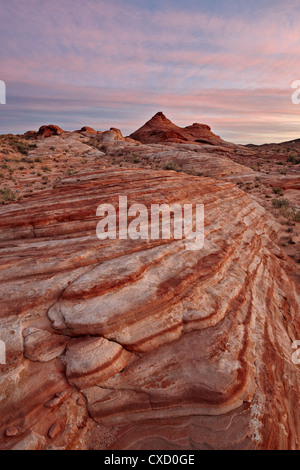 Rote und weiße Sandsteinschichten mit bunten Wolken bei Sonnenaufgang, Tal des Feuers Staatspark, Nevada, Vereinigte Staaten von Amerika Stockfoto