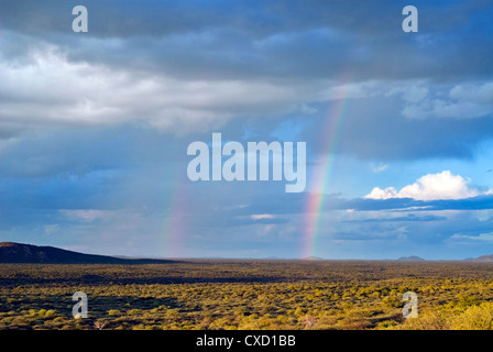 Regenbogen, Ongava Game Reserve, Namibia, Afrika Stockfoto