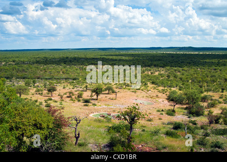 Ongava Game Reserve, Namibia, Afrika Stockfoto