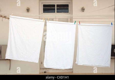 3 weiße Blatt auf Leinen Linie, Fira, Santorini, Griechenland Stockfoto