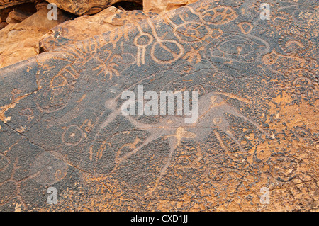 Petroglyphen oder Felsgravuren, Twyfelfontein, UNESCO-Weltkulturerbe, Damaraland, Kunene Region, Namibia, Afrika Stockfoto