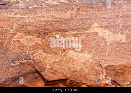 Petroglyphen oder Felsgravuren, Twyfelfontein, UNESCO-Weltkulturerbe, Damaraland, Kunene Region, Namibia, Afrika Stockfoto