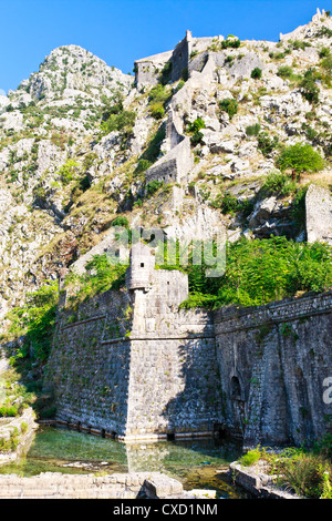 Kotor Wand Stadtbefestigung, Montenegro (UNESCO-Weltkulturerbe) Stockfoto