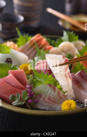 Dorade Sashimi abgeholt mit Stäbchen Stockfoto