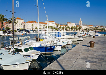 Angelboote/Fischerboote am Ufer, Split, Dalmatien, Kroatien, Europa Stockfoto