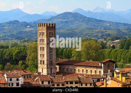 Lucca, Toskana - Blick über Altstadt (Italien) Stockfoto