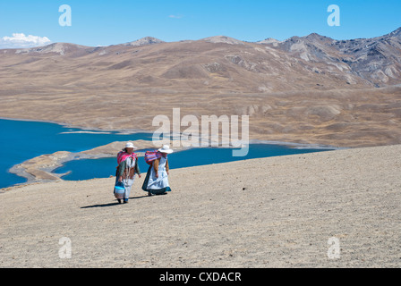 Aymara Frauen in der Cordillera Real mit dem See Tuni im Hintergrund Stockfoto