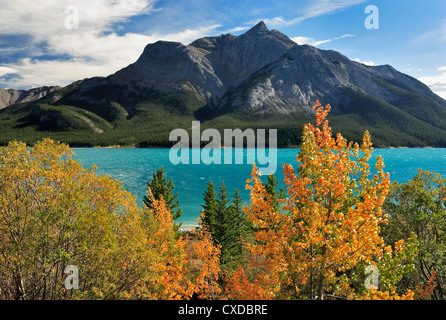 Abraham Lake und montieren Peter Lougheed aus entlang Highway 11 in Herbst-Kootenai Ebenen Fläche, Alberta, Kanada Stockfoto