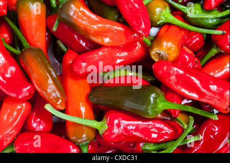 Ein Haufen von bunten roten Chilischoten Stockfoto