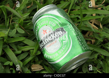 Heineken Lagerbier kann grass Stockfoto