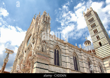 Dom von Siena Stockfoto