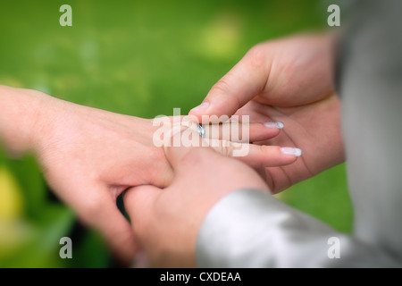 Braut, Bräutigam steckt den ring Stockfoto