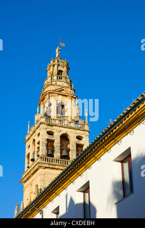 Bell Tower und ehemalige Minarett der Kathedrale Mezquita, Córdoba, Andalusien, Spanien Stockfoto