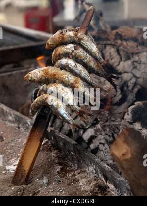 Sardinen auf einem Holzfeuer, an einem Strand im Süden Spaniens gekocht wird. Stockfoto