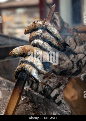 Sardinen auf einem Holzfeuer, an einem Strand im Süden Spaniens gekocht wird. Stockfoto