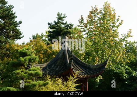 Chinesische Pagode und Bäume in Sun Yat-Sen Park, Chinatown, Vancouver, BC, Kanada Stockfoto