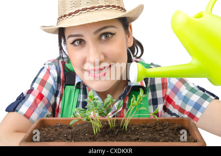 Mädchen Bewässerung von Pflanzen auf weiß Stockfoto