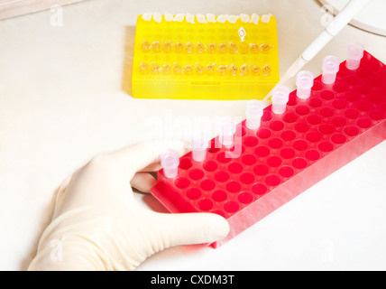 Molekulare Biologie Stockfoto