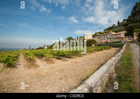 Süden gerichteten Weinberg am Hang zu Provence Dorf von Seguret in Südfrankreich Stockfoto