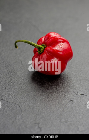 rote Habanero auf Schiefer Teller Stockfoto