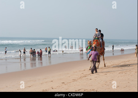 Indische Urlauber am Strand von Puri, junge Familien nehmen Kamelritt entlang dem Strand, Puri, Golf von Bengalen, Orissa, Indien, Asien Stockfoto