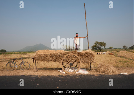 Lokale Mann sammeln Reisstroh aus den Bereichen auf Leiterwagen mit Holzrädern, ländlichen Orissa, Indien, Asien Stockfoto