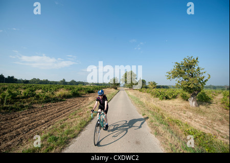 Frau Rennrad durch Weinberge auf lange gerade Landstraße in der Nähe von Sablet im Departement Vaucluse, Südfrankreich im Sommer Stockfoto