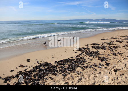 Hermosa Beach, Los Angeles, California, Vereinigte Staaten von Amerika, Nordamerika Stockfoto