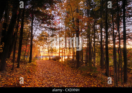 See Millinocket bei Sonnenaufgang, Baxter State Park, Maine, New England, Vereinigte Staaten von Amerika, Nordamerika Stockfoto