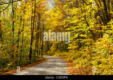 Baxter State Park, Maine, New England, Vereinigte Staaten von Amerika, Nordamerika Stockfoto