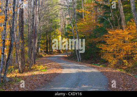 Grafton, Vermont, New England, Vereinigte Staaten von Amerika, Nordamerika Stockfoto