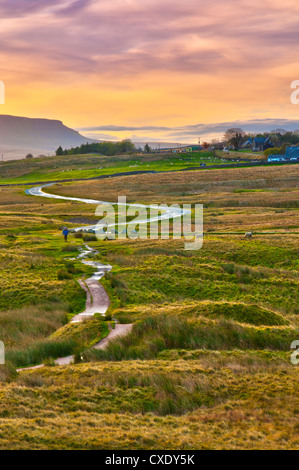 Pen-y-Gent, eine von der Yorkshire drei Zinnen, Ribble Valley, Yorkshire Dales National Park, North Yorkshire, England, UK Stockfoto