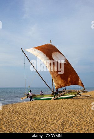 Fischer und Oruvas (traditionelle Ausleger Einbaum-Kanu), Negombo Strand, westliche Provinz, Sri Lanka, Asien Stockfoto