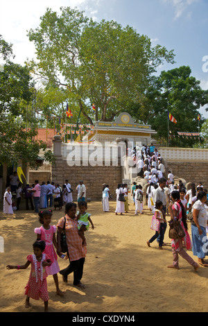 Buddhistische Pilger Sri Maha Bodhi, Heilige Bodhi-Baum gepflanzt in 249 BC, UNESCO-Weltkulturerbe, Anuradhapura, Sri Lanka, Asien Stockfoto