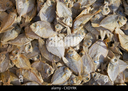 Getrockneter Fisch zum Verkauf am Marktstand, Nilaveli, Trincomalee, Sri Lanka, Asien Stockfoto