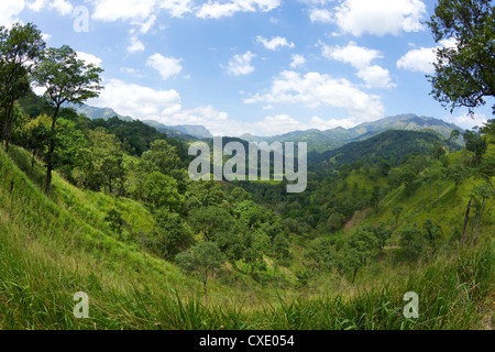 Hügelland in der Nähe von Ella, Sri Lanka, Asien Stockfoto