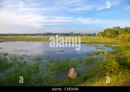 See und Blick auf Elephant Rock am späten Nachmittag, Yala-Nationalpark, Sri Lanka, Asien Stockfoto