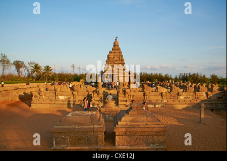 Shore Tempel, Mamallapuram (Mahabalipuram), UNESCO-Weltkulturerbe, Tamil Nadu, Indien, Asien Stockfoto