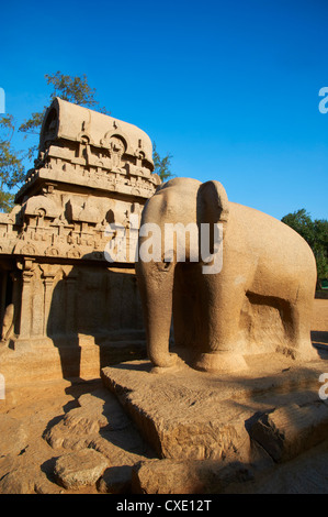 Fünf Ratha, Mamallapuram (Mahabalipuram), UNESCO-Weltkulturerbe, Tamil Nadu, Indien, Asien Stockfoto