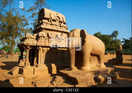 Fünf Ratha, Mamallapuram (Mahabalipuram), UNESCO-Weltkulturerbe, Tamil Nadu, Indien, Asien Stockfoto