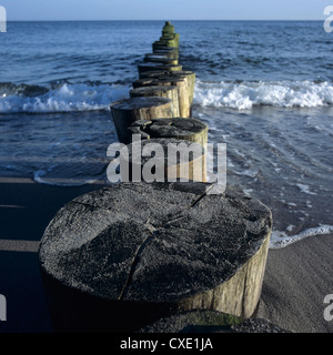 Ostseebad Heiligendamm: Buhnen am Strand bei Sonnenaufgang Stockfoto