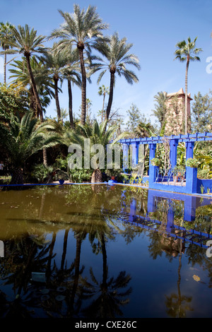 Majorelle Gärten, Marrakesch, Marokko, Nordafrika, Afrika Stockfoto