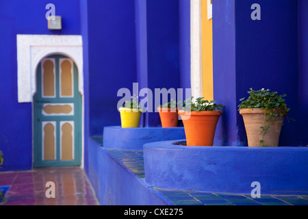 Majorelle Gärten, Marrakesch, Marokko, Nordafrika, Afrika Stockfoto