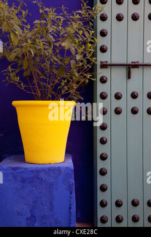 Majorelle Gärten, Marrakesch, Marokko, Nordafrika, Afrika Stockfoto