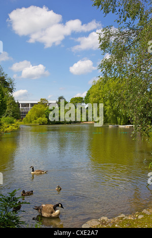 Queens Park, Chesterfield, Derbyshire, England, Vereinigtes Königreich, Europa Stockfoto