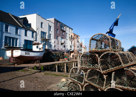 Hummer-Töpfe in St Andrews Hafen, St Andrews, Fife, Schottland Stockfoto